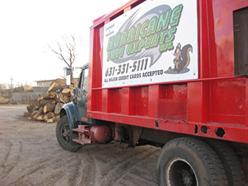 Hurricane Tree Service